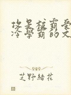 攻是校霸受是清冷学霸的文