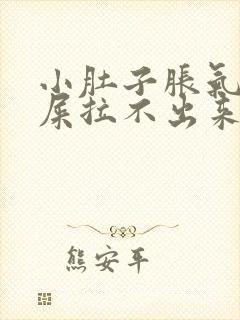 小肚子胀气想拉屎拉不出来怎么回事