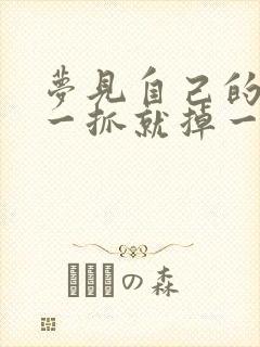 梦见自己的头发一抓就掉一大把