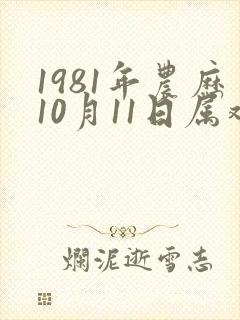 1981年农历10月11日属鸡的命运如何