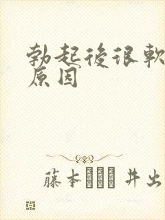 勃起后很软什么原因