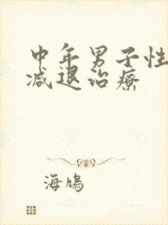 中年男子性功能减退治疗