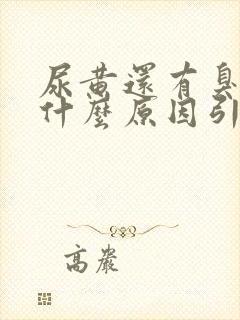 尿黄还有臭味是什么原因引起的