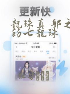 龙珠真 那之后的七龙珠