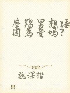 摩羯男想睡你是因为爱吗?