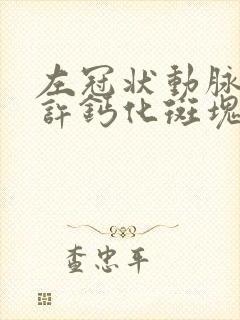 左冠状动脉壁少许钙化斑块