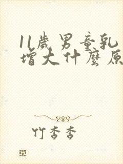 11岁男童乳房增大什么原因