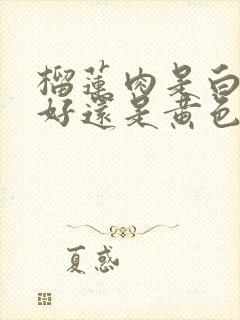 榴莲肉是白色的好还是黄色的好