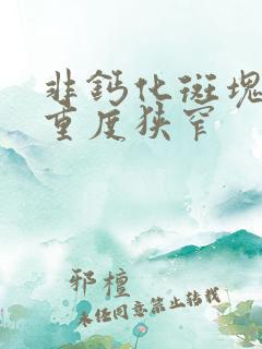 非钙化斑块管腔重度狭窄