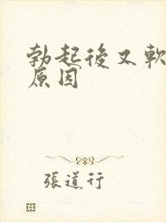 勃起后又软什么原因