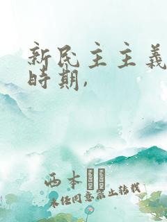 新民主主义革命时期,