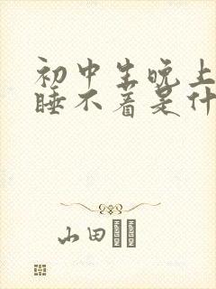 初中生晚上总是睡不着是什么原因