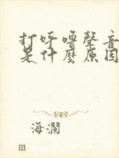 打呼噜声音太大是什么原因