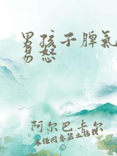 男孩子脾气暴躁易怒