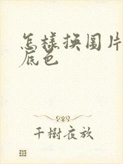 怎样换图片背景底色