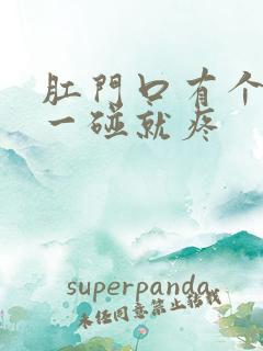 肛门口有个肉球一碰就疼