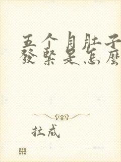 五个月肚子发硬发紧是怎么回事