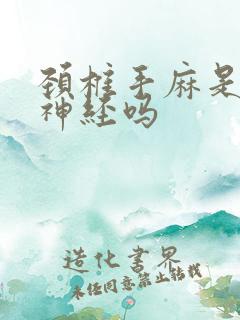 颈椎手麻是压迫神经吗