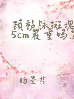 颈动脉斑块1.5cm严重吗怎么治疗