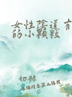 女性阴道有白色的小颗粒