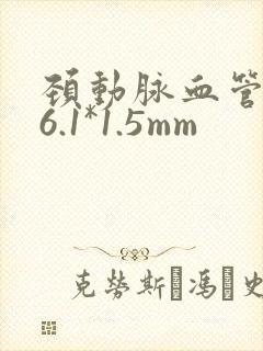 颈动脉血管斑块6.1*1.5mm