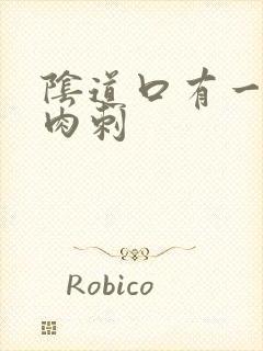 阴道口有一个肉肉刺