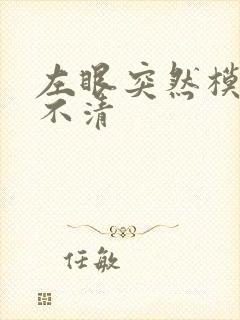 左眼突然模糊看不清