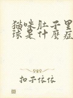 猫咪肚子里有毛球是什么症状