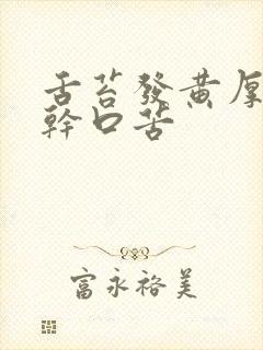 舌苔发黄厚腻口干口苦