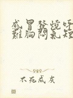 感冒发烧呼吸困难胸闷气短