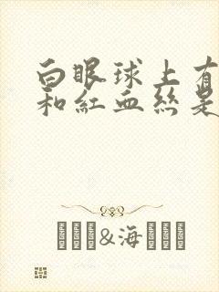 白眼球上有黄斑和红血丝是怎么回事