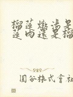 榴莲炖汤是用榴莲肉还是榴莲壳