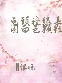 龟头边缘长了一圈白色颗粒