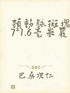 颈动脉斑块6.7*1.6毫米严重吗