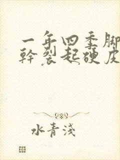 一年四季脚后跟干裂起硬皮裂口子怎么办