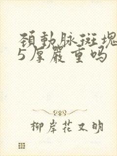 颈动脉斑块1.5厚严重吗