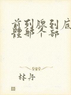 前列腺到底在身体那个部