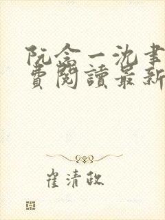 阮念一沈聿怀免费阅读最新章节