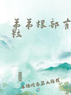 弟弟根部有小肉粒