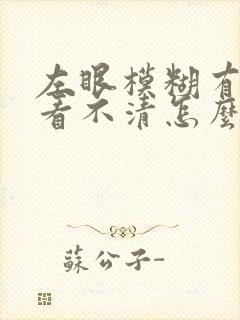 左眼模糊有黑影看不清怎么办