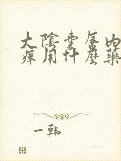 大阴囊唇内侧很痒用什么药膏