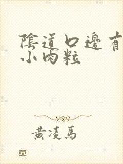 阴道口边有白色小肉粒