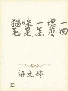 猫咪一块一块掉毛是怎么回事