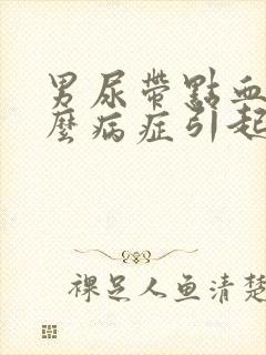 男尿带点血是什么病症引起的