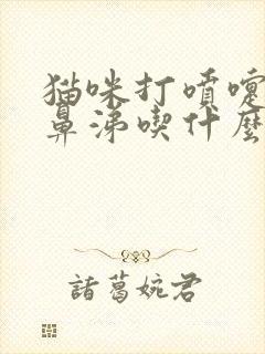 猫咪打喷嚏流黄鼻涕吃什么药