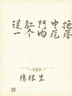 从肛门中拖出来一个肉疙瘩