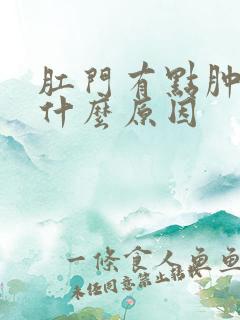 肛门有点肿痛是什么原因