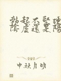 勃起不坚硬是肾阴虚还是阳虚