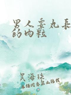 男人睾丸长硬硬的肉粒