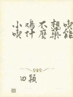 小鸡不想吃东西吃什么药能治